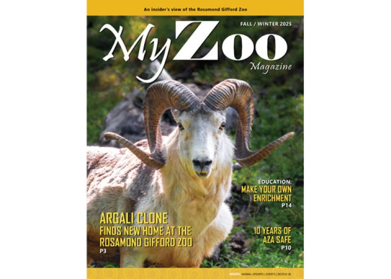 FallWinter2025MyZoo webcover 397x556