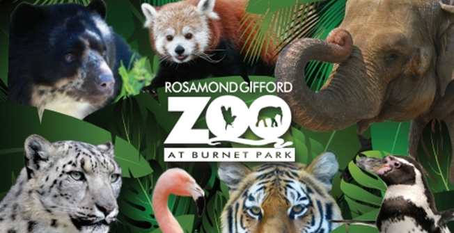 Connecting you to Conservation