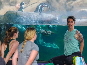 Yoga with the Penguins