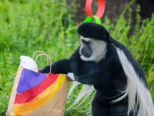 LGBTQ+ Family Day of Visibility