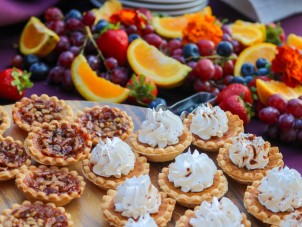 Fall Conservation Bash