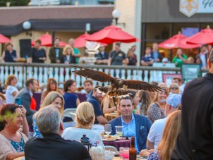 Fall Conservation Bash
