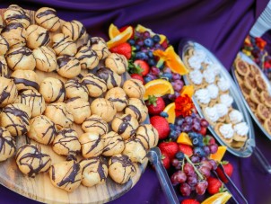 Fall Conservation Bash