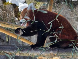 Winter 2026 Winner - Adam Westerberg