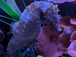 Winter 2026 Third Place - Melissa Sutton