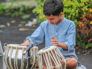 Asian Elephant Extravaganza