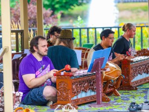 Asian Elephant Extravaganza