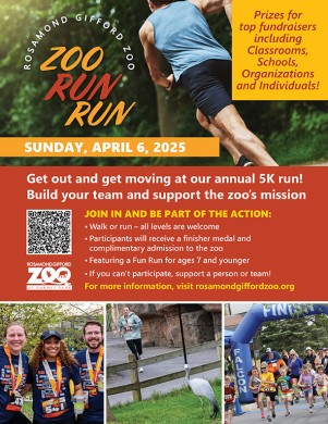 Download a Printable Zoo Run Run Flyer! 