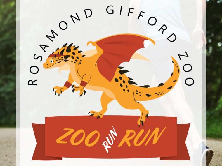 Zoo Run Run