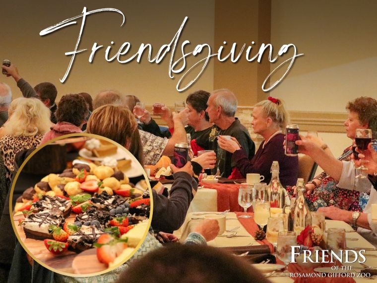 Fantastic Friendsgiving Feast