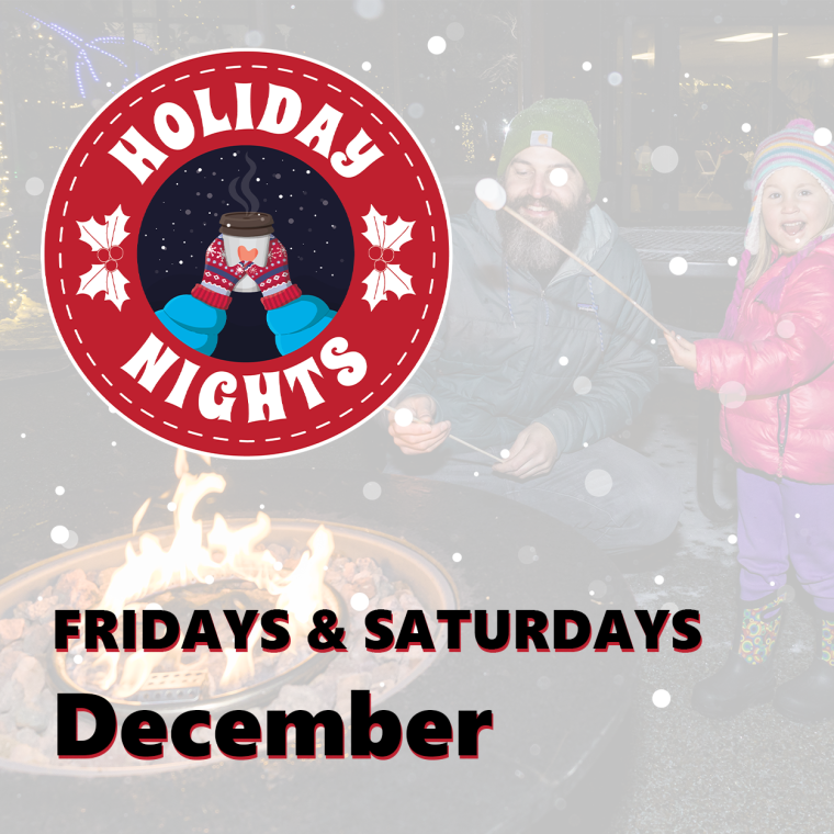 Holiday Nights
