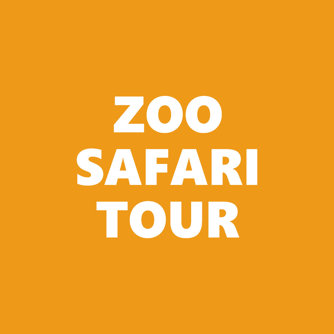 For Educators & Groups