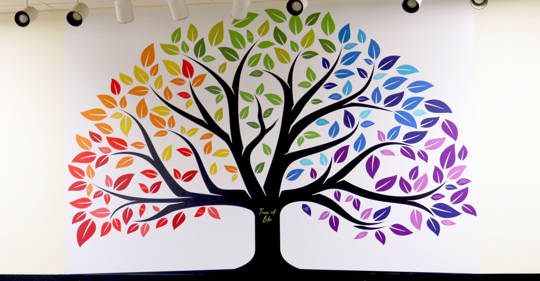 Tree of Life Picture