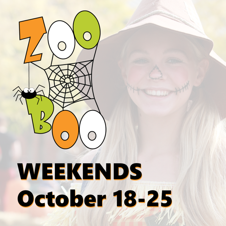 Zoo Boo