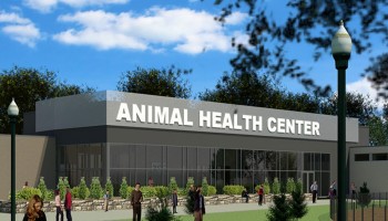 Syracuse Zoo RGZ FOTZ Animal Health Center Feature Image