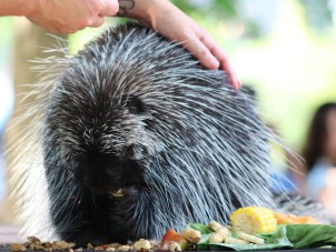 Brew at the Zoo 2022